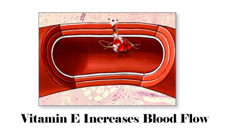 How L-Arginine Work In The Body