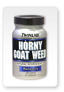 Horny-goat-weed